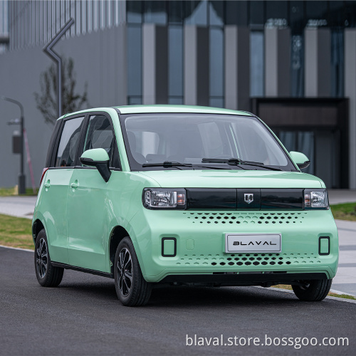 New energy high speed 110km/h range 332km 110V 220V electric car  EV